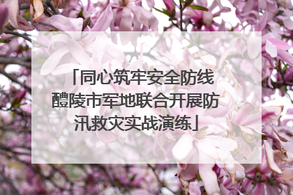 同心筑牢安全防线 醴陵市军地联合开展防汛救灾实战演练