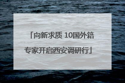 向新求质 10国外籍专家开启西安调研行
