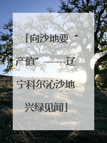 向沙地要“产值”——辽宁科尔沁沙地兴绿见闻