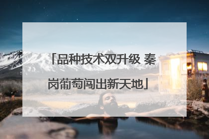 品种技术双升级 秦岗葡萄闯出新天地