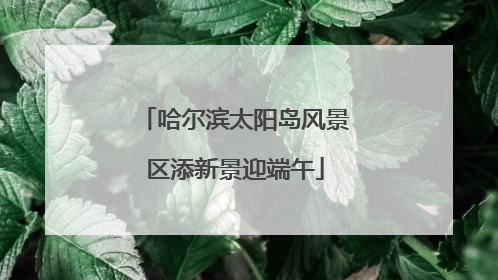 哈尔滨太阳岛风景区添新景迎端午