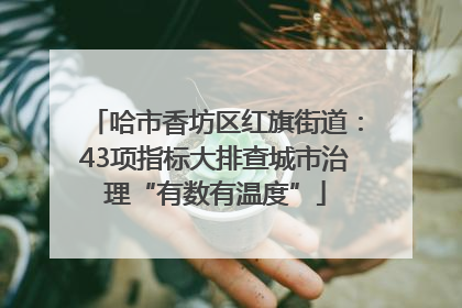 哈市香坊区红旗街道：43项指标大排查城市治理“有数有温度”