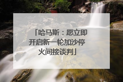 哈马斯：愿立即开启新一轮加沙停火间接谈判