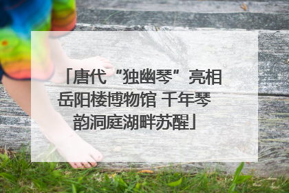 唐代“独幽琴”亮相岳阳楼博物馆 千年琴韵洞庭湖畔苏醒