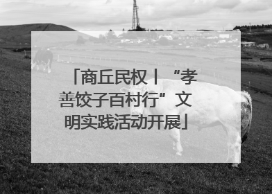 商丘民权丨“孝善饺子百村行”文明实践活动开展