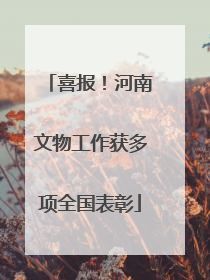 喜报！河南文物工作获多项全国表彰