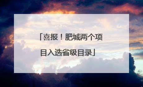喜报！肥城两个项目入选省级目录