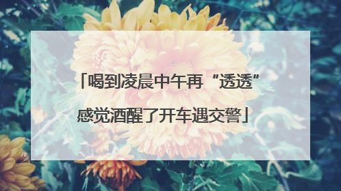喝到凌晨中午再“透透” 感觉酒醒了开车遇交警