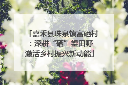 嘉禾县珠泉镇富硒村：深耕“硒”望田野 激活乡村振兴新动能