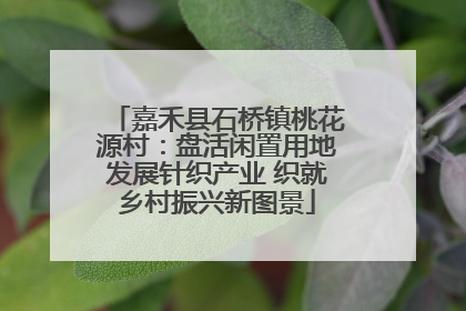 嘉禾县石桥镇桃花源村：盘活闲置用地发展针织产业 织就乡村振兴新图景