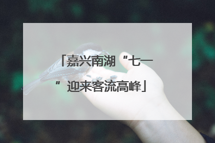 嘉兴南湖“七一”迎来客流高峰