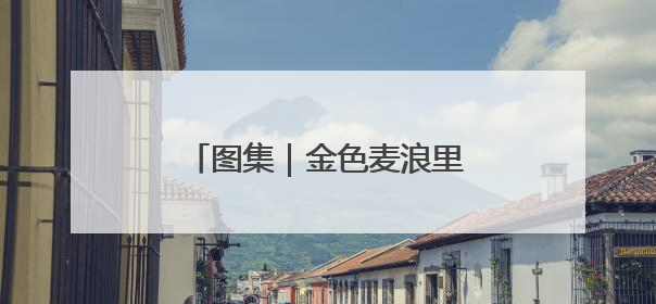 图集|金色麦浪里的丰收交响曲——豫东三夏抢收纪实