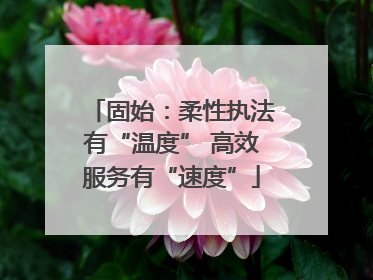 固始：柔性执法有“温度” 高效服务有“速度”