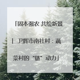 固本强农 共绘新景 ︳卫辉市南社村：蔬菜村的“链”动力