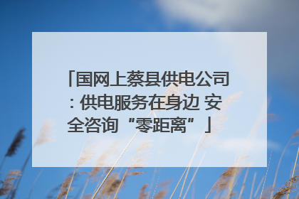 国网上蔡县供电公司：供电服务在身边 安全咨询“零距离”