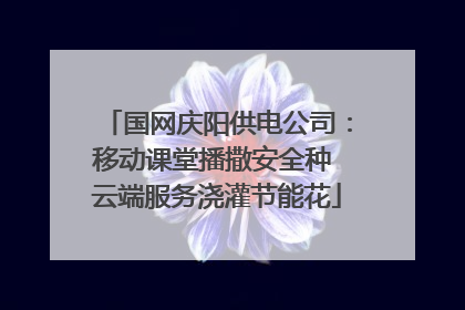 国网庆阳供电公司：移动课堂播撒安全种 云端服务浇灌节能花
