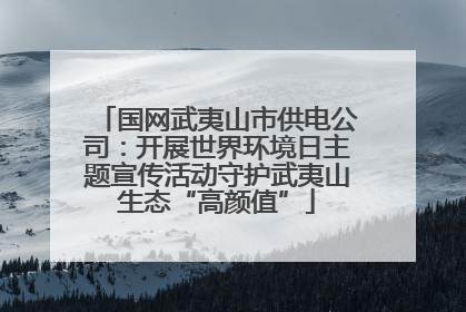 国网武夷山市供电公司：开展世界环境日主题宣传活动守护武夷山生态“高颜值”