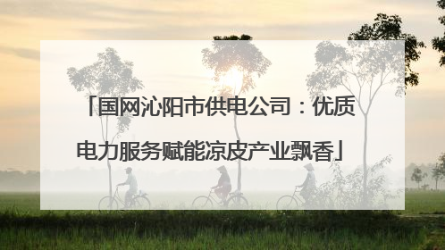 国网沁阳市供电公司：优质电力服务赋能凉皮产业飘香