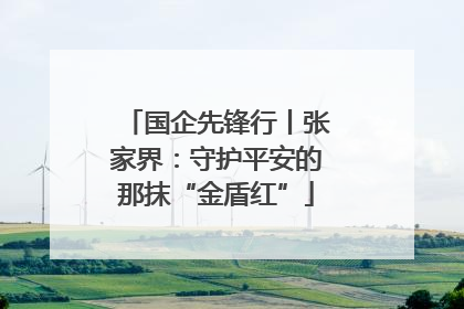 国企先锋行丨张家界：守护平安的那抹“金盾红”