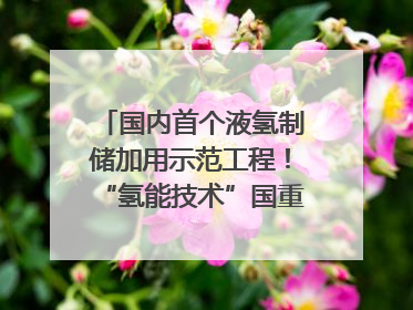 国内首个液氢制储加用示范工程！“氢能技术”国重专项在四川南充启动｜打赢经济发展翻身仗