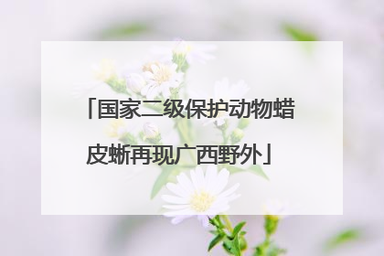 国家二级保护动物蜡皮蜥再现广西野外