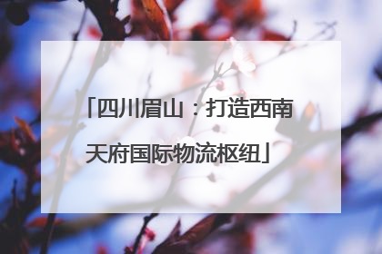 四川眉山：打造西南天府国际物流枢纽