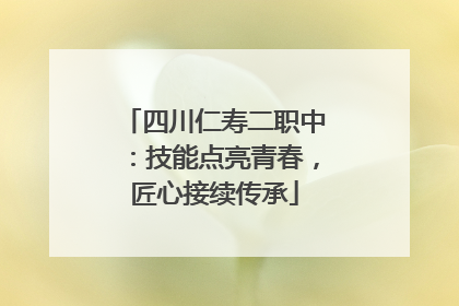 四川仁寿二职中：技能点亮青春，匠心接续传承