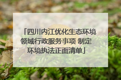 四川内江优化生态环境领域行政服务事项 制定环境执法正面清单