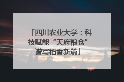 四川农业大学：科技赋能“天府粮仓”谱写稻香新篇