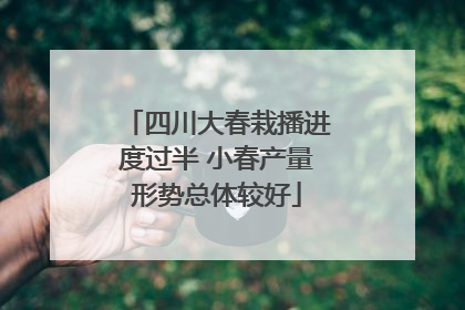 四川大春栽播进度过半 小春产量形势总体较好