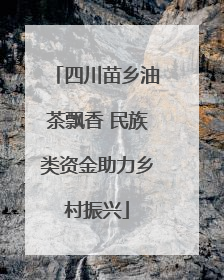四川苗乡油茶飘香 民族类资金助力乡村振兴