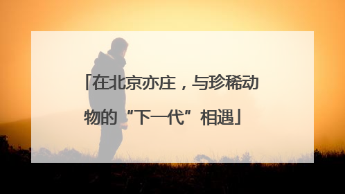 在北京亦庄，与珍稀动物的“下一代”相遇