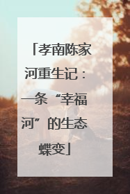 孝南陈家河重生记：一条“幸福河”的生态蝶变