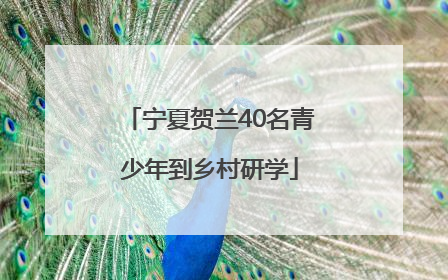宁夏贺兰40名青少年到乡村研学