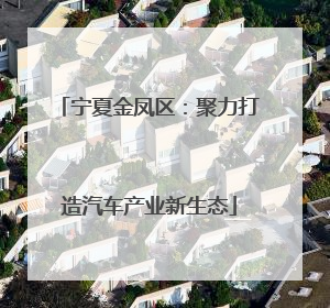 宁夏金凤区：聚力打造汽车产业新生态