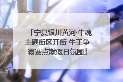 宁夏银川黄河·牛魂主题街区开街 牛王争霸赛点燃假日氛围