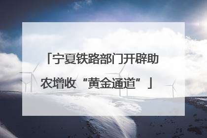 宁夏铁路部门开辟助农增收“黄金通道”