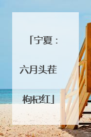 宁夏：六月头茬枸杞红