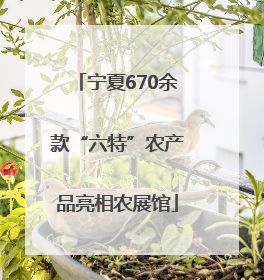宁夏670余款“六特”农产品亮相农展馆