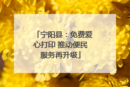 宁阳县：免费爱心打印 推动便民服务再升级