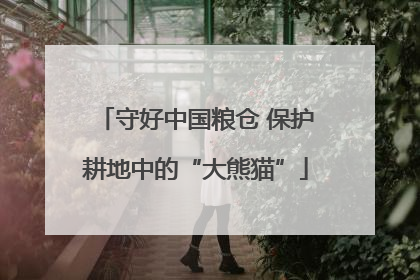 守好中国粮仓 保护耕地中的“大熊猫”
