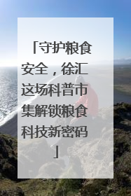 守护粮食安全，徐汇这场科普市集解锁粮食科技新密码