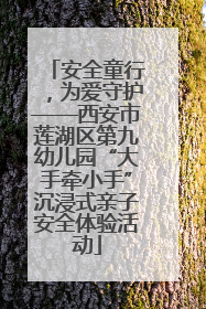 安全童行，为爱守护——西安市莲湖区第九幼儿园“大手牵小手”沉浸式亲子安全体验活动