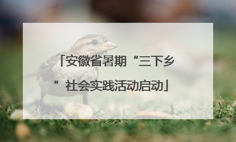 安徽省暑期“三下乡”社会实践活动启动