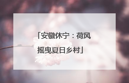 安徽休宁：荷风摇曳夏日乡村