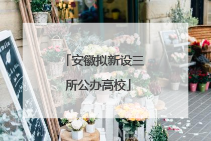 安徽拟新设三所公办高校