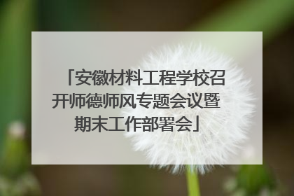 安徽材料工程学校召开师德师风专题会议暨期末工作部署会