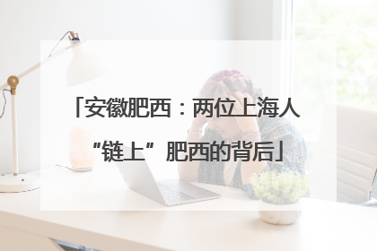 安徽肥西：两位上海人“链上”肥西的背后