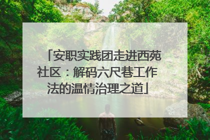 安职实践团走进西苑社区：解码六尺巷工作法的温情治理之道