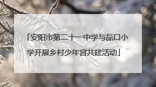 安阳市第二十一中学与磊口小学开展乡村少年宫共建活动